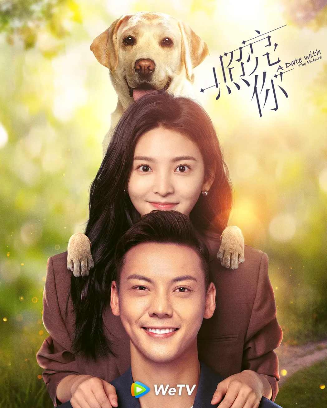 照亮你