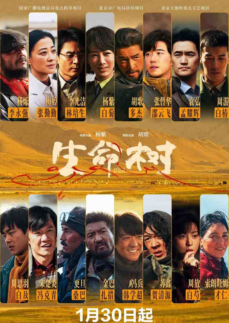 生命树