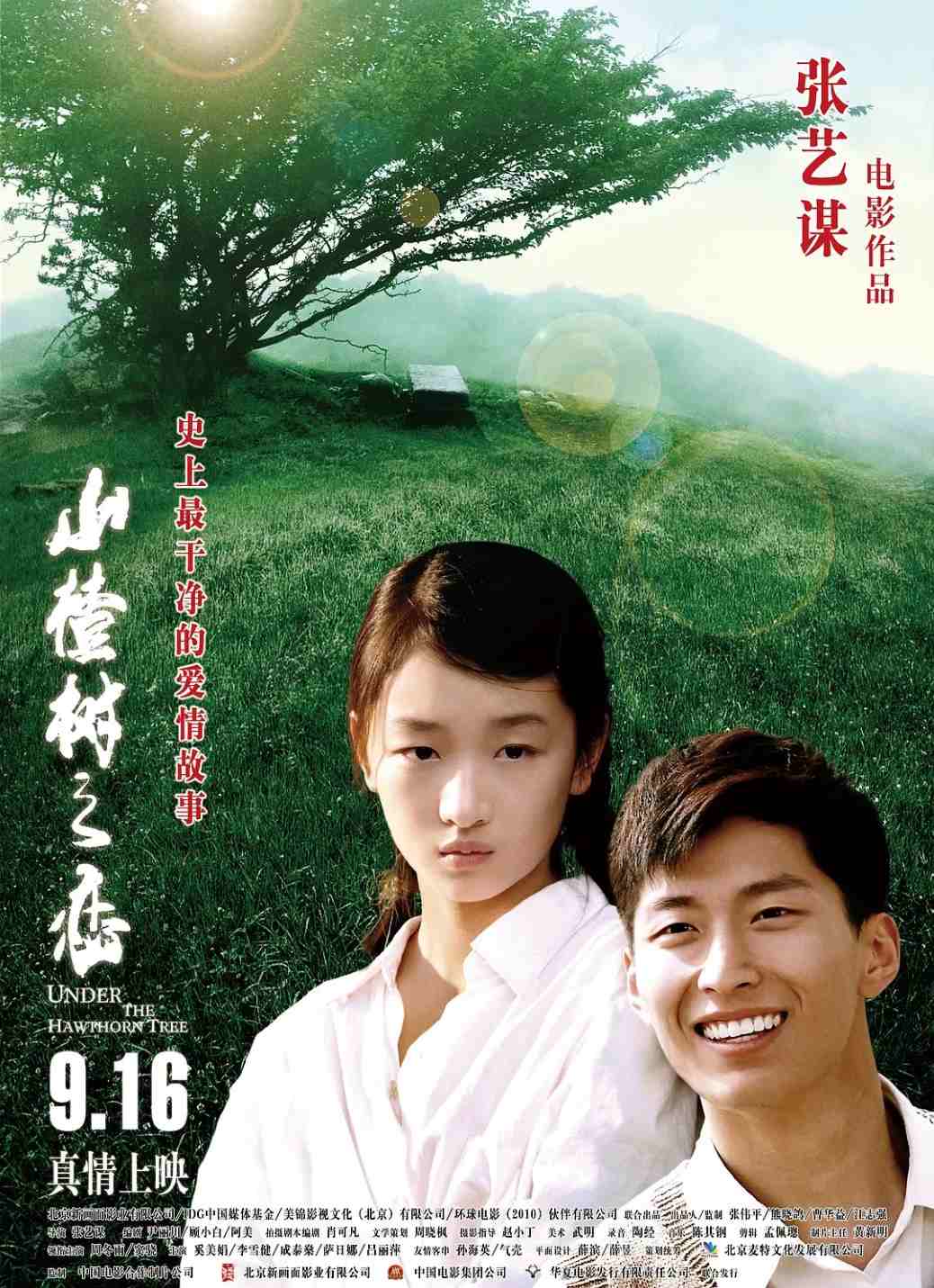 山楂树之恋